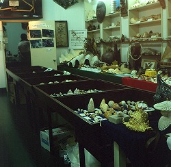 Kikuchi Shell Museum