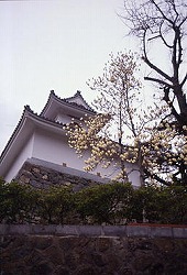 Kyogyoji Temple