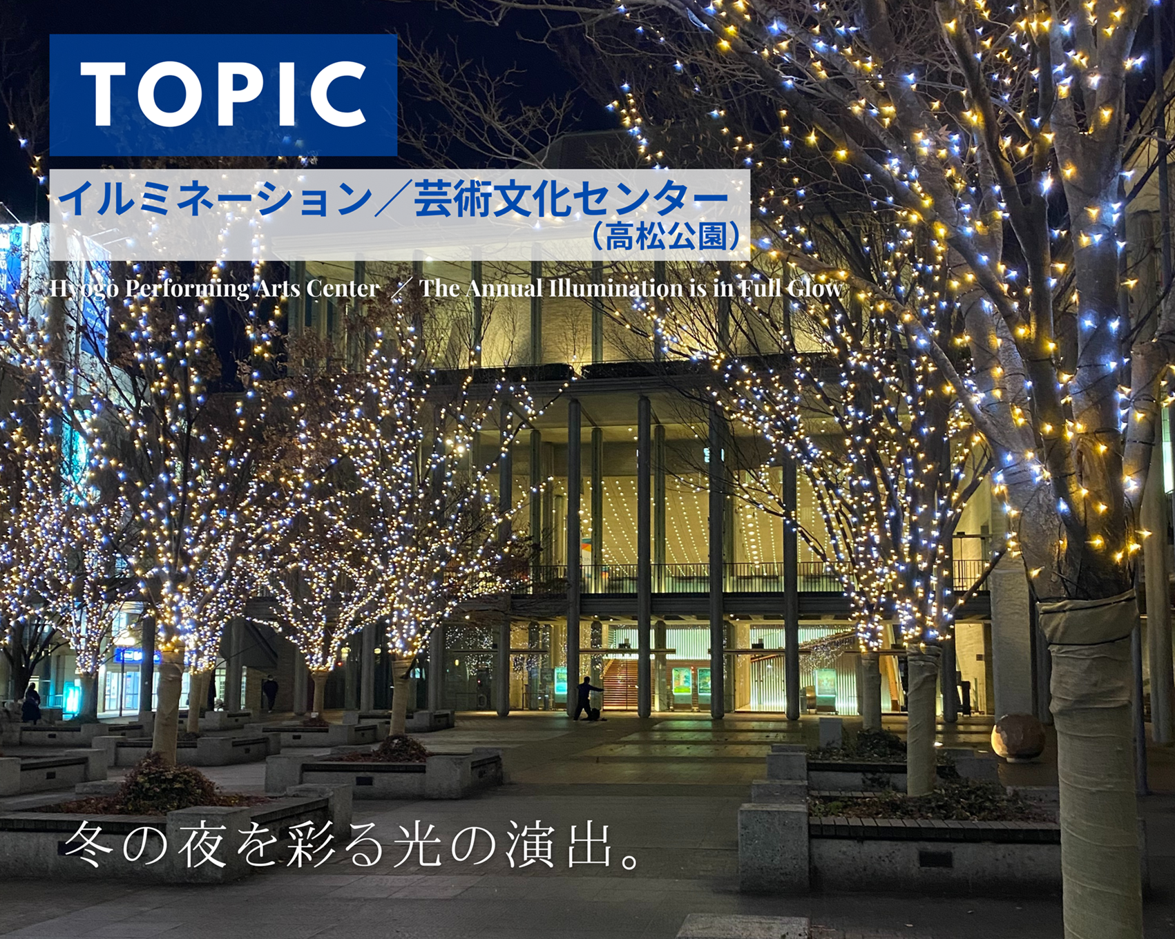 芸文センターイルミネーション